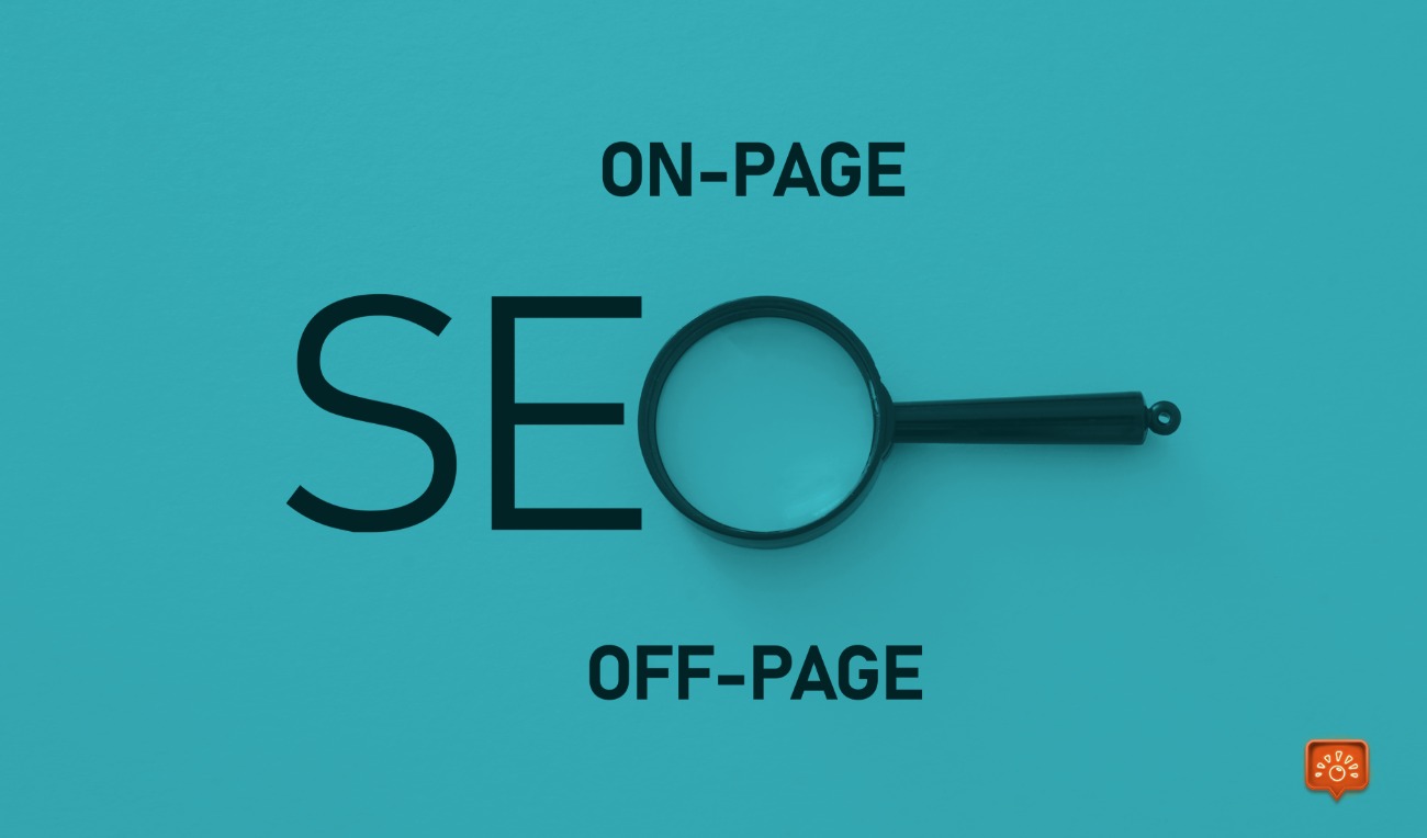 Seo hizmeti profesyonel