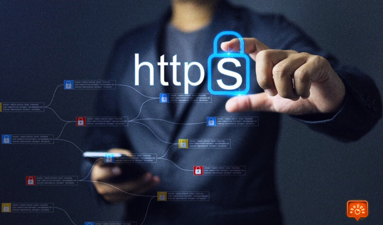 Profesyonel SEO ajansı teknik SEO denetim süreci
