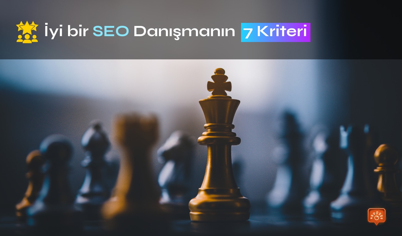 Seo Danismani 7 Kriter
